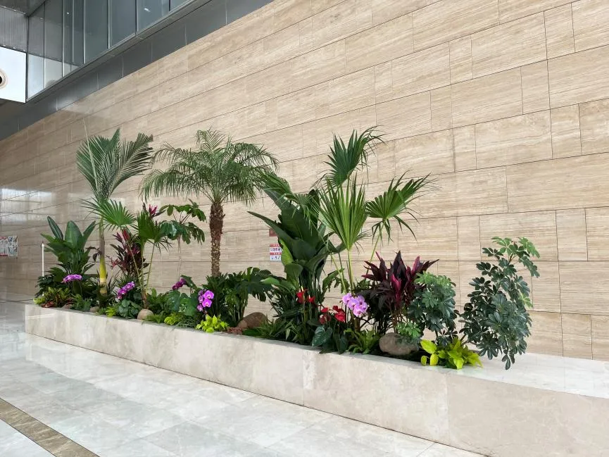 余姚植物租摆设计，让生活与自然完美融合