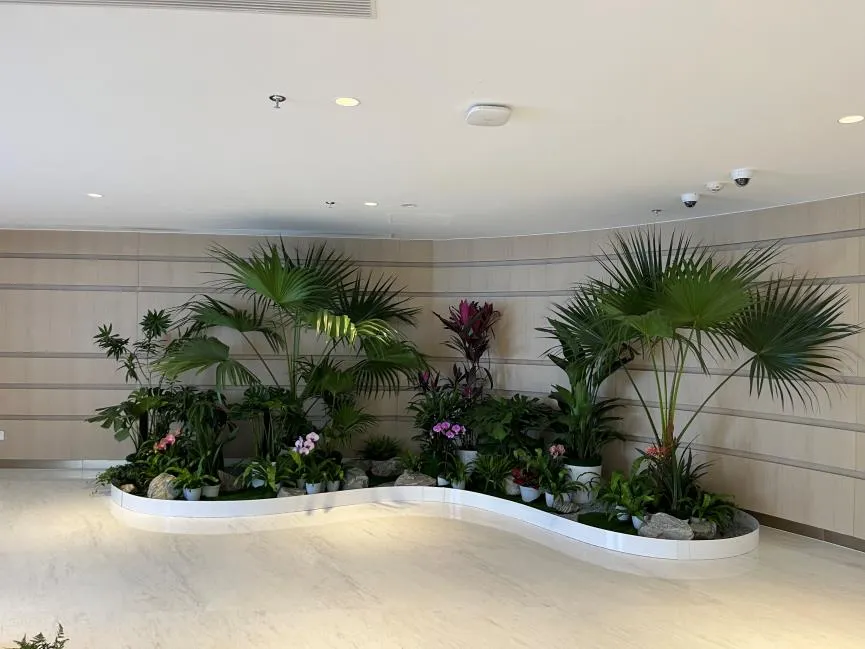 宁波江北绿化养护专业领先，塑造美丽生态环境